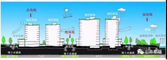 如何理解「海綿城市」的概念？